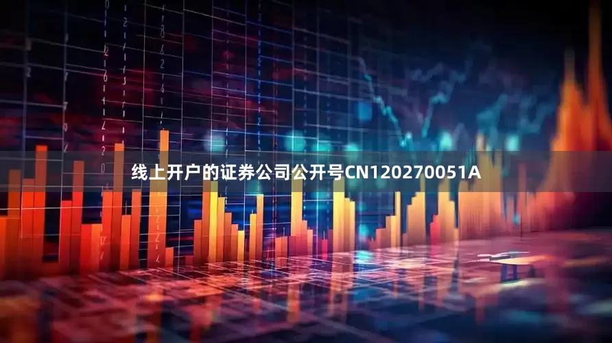线上开户的证券公司公开号CN120270051A