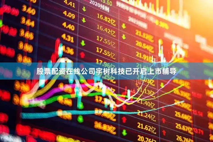 股票配资在线公司宇树科技已开启上市辅导