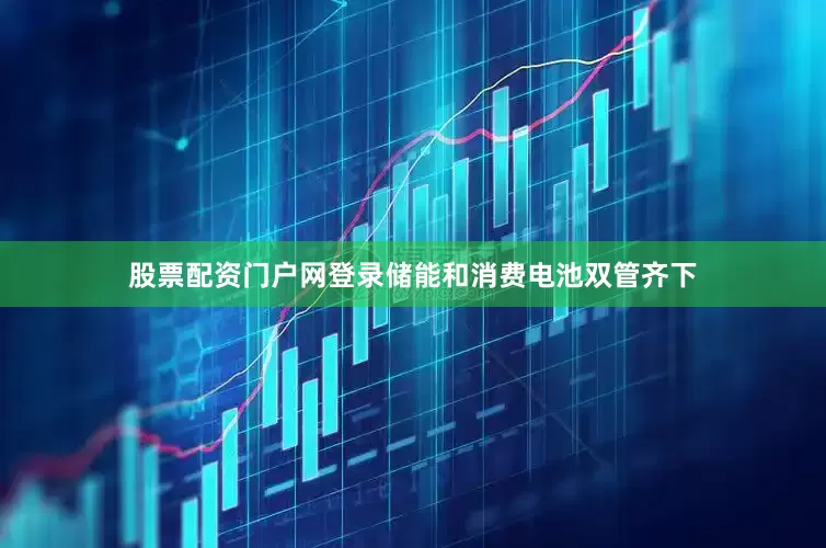 股票配资门户网登录储能和消费电池双管齐下